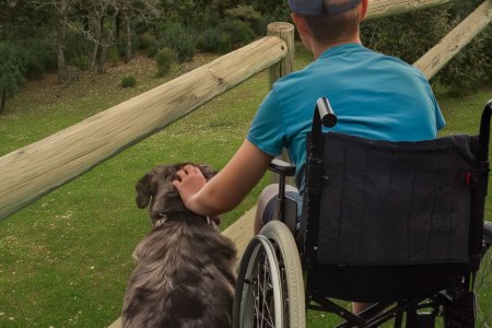 Turismo accesible